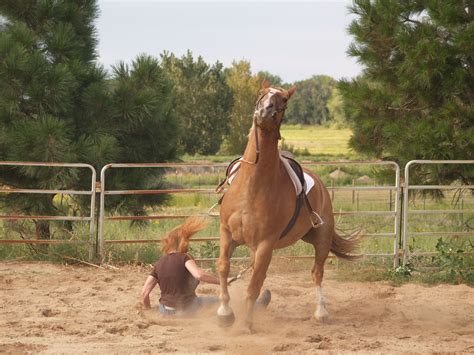 fall off a horse
